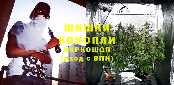 гидропоника Алзамай