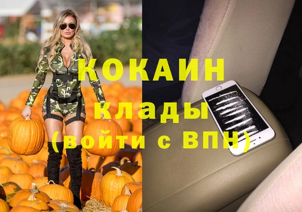 гидропоника Алзамай