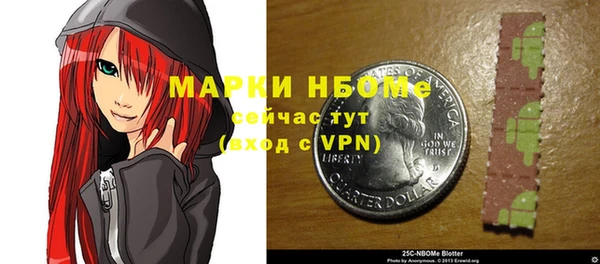 шишки Алексин