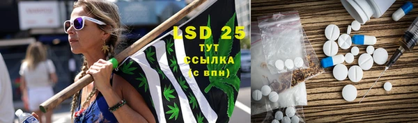шишки Алексин