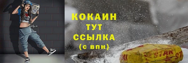 шишки Алексин