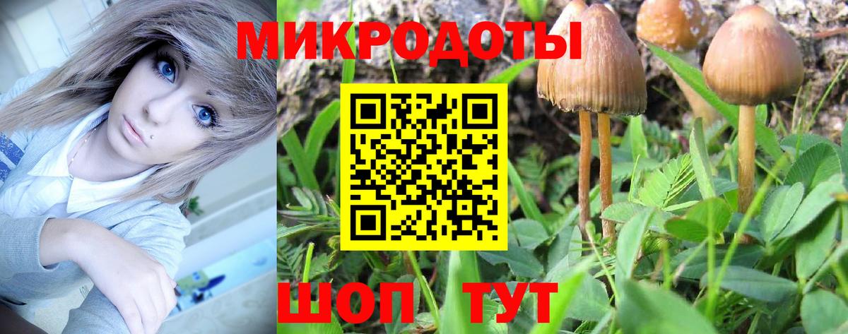 Топки  Галлюциногенные грибы Magic Shrooms  Вход с VPN 