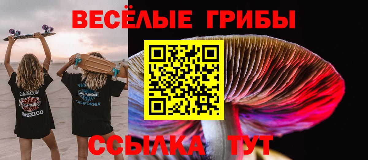 Галлюциногенные грибы GOLDEN TEACHER Топки